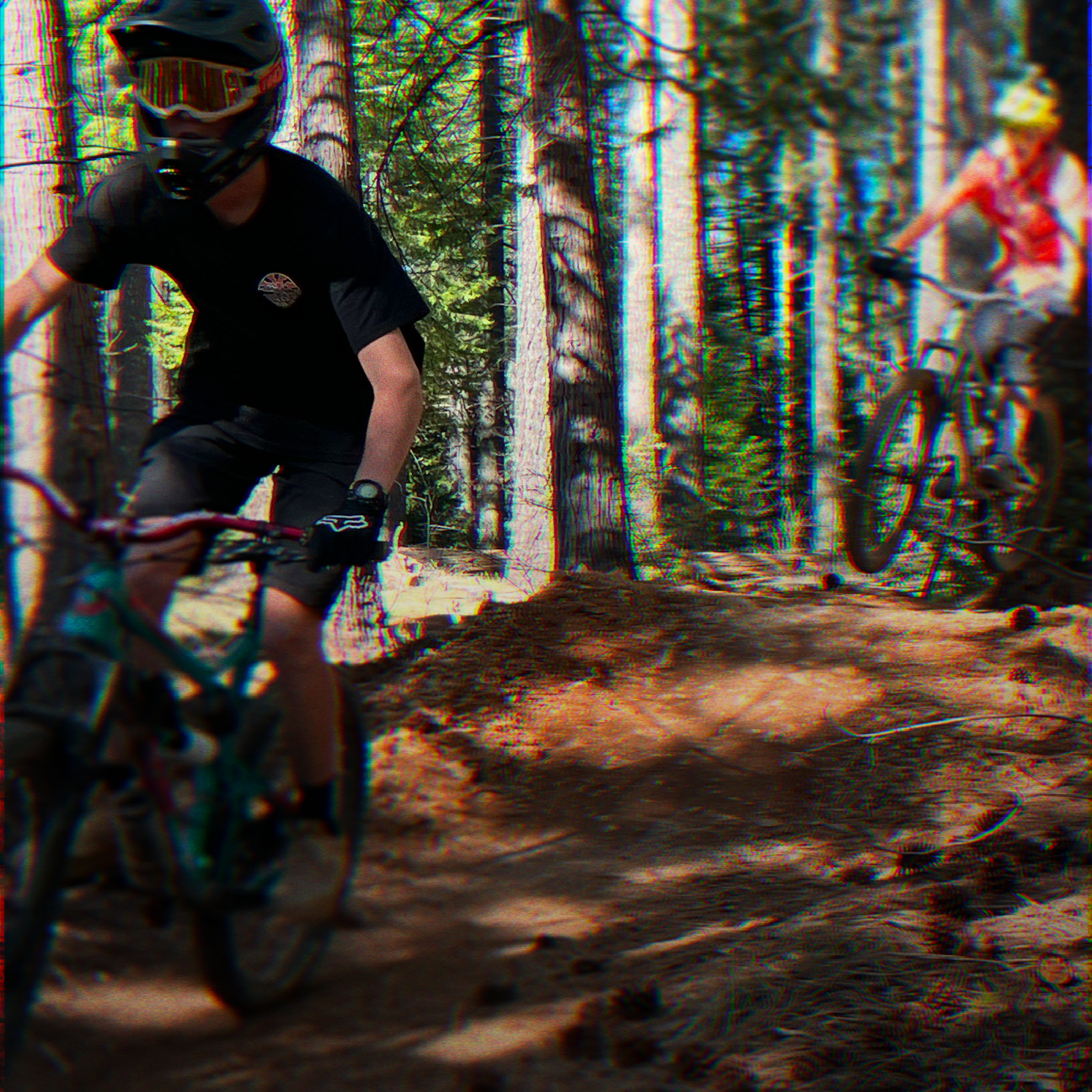 Two high school mountain bike riders ride a trail through pine trees.